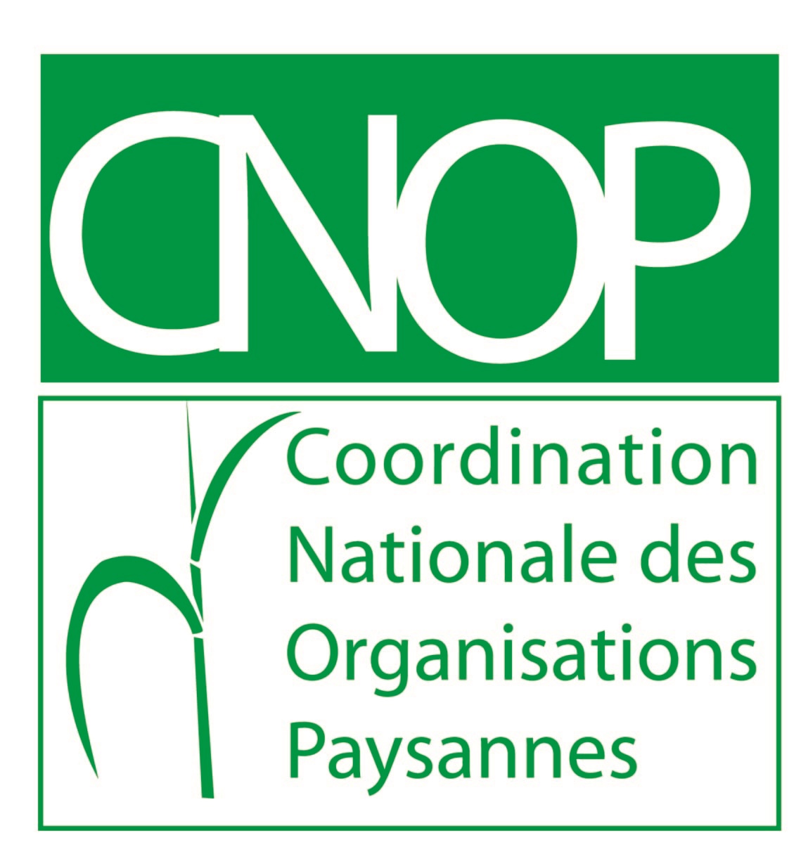 Coordination of Organizations Peasant Women (CNOP)
