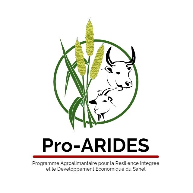 Logo Pro-ARIDES | Pro-ARIDES