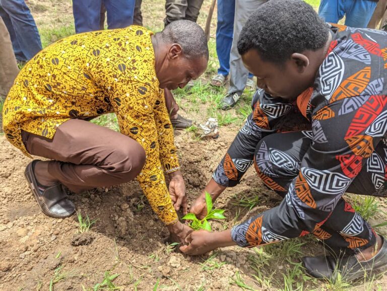 Reforestation offensive in Burkina Faso: Pro-ARIDES supports the ...